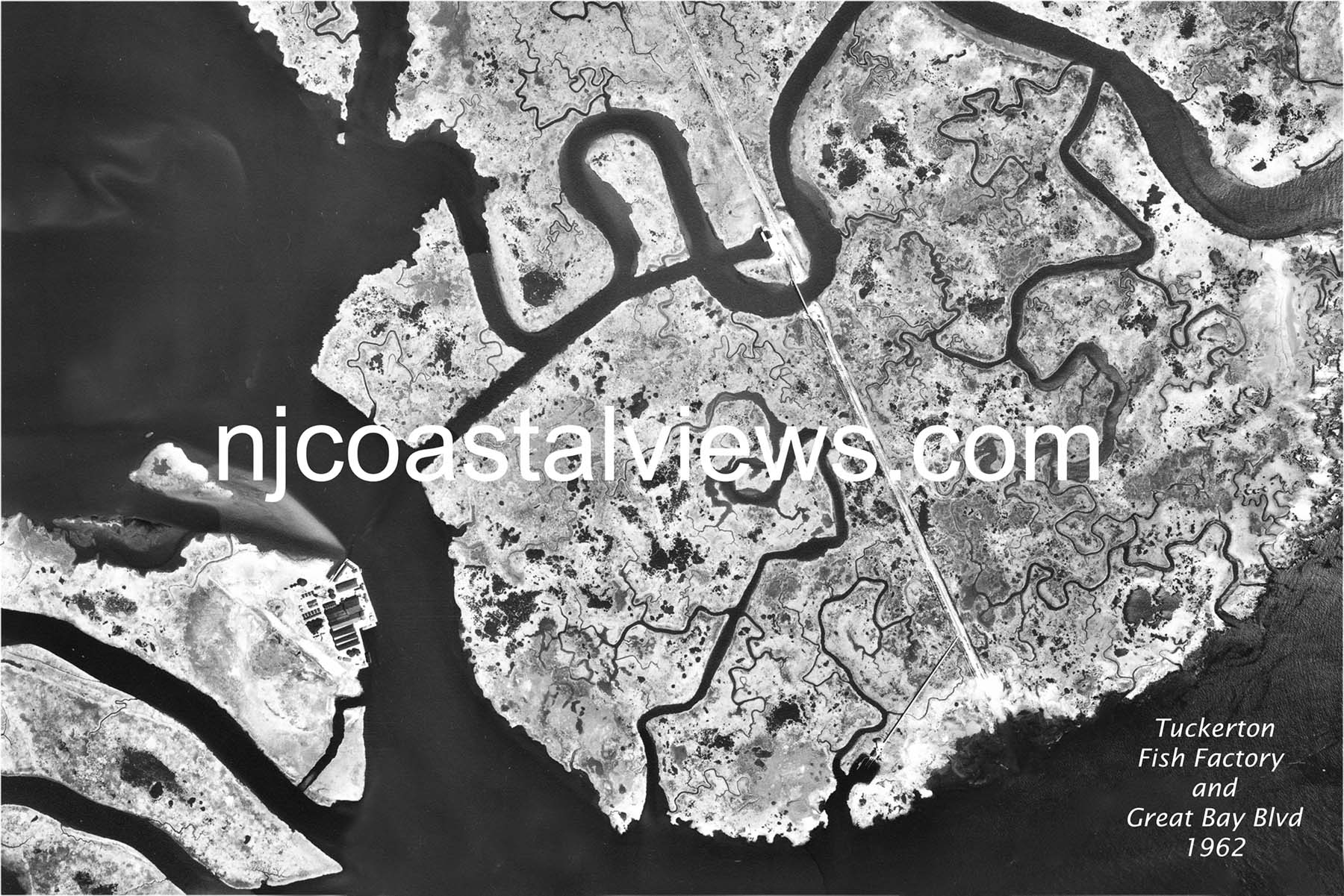 Tuckerton Stinkhouse 1962